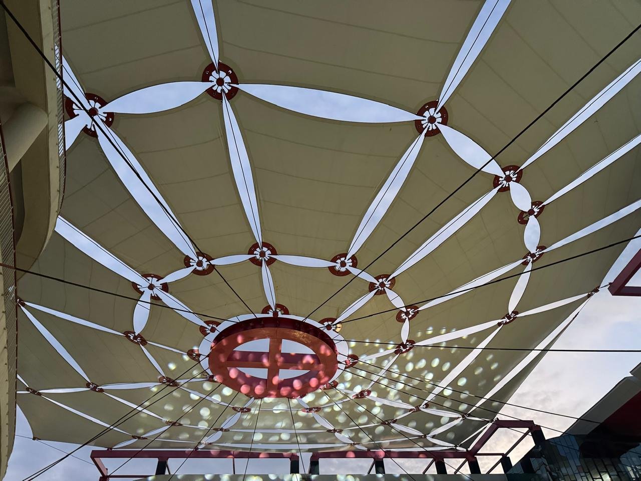 whatsapp image 2026 02 25 at 12.50.24 pm